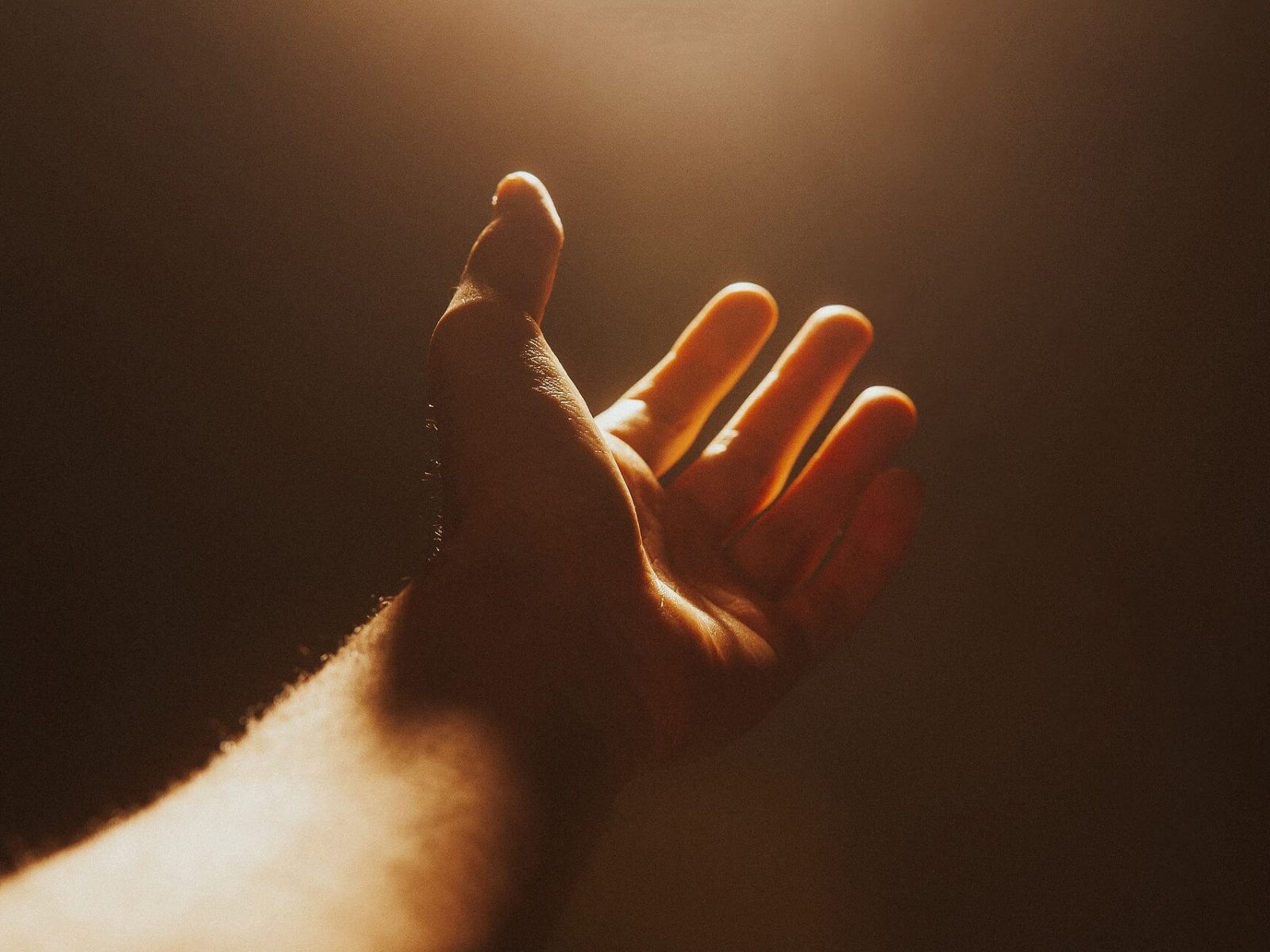 hand-4661763_1920 (1)